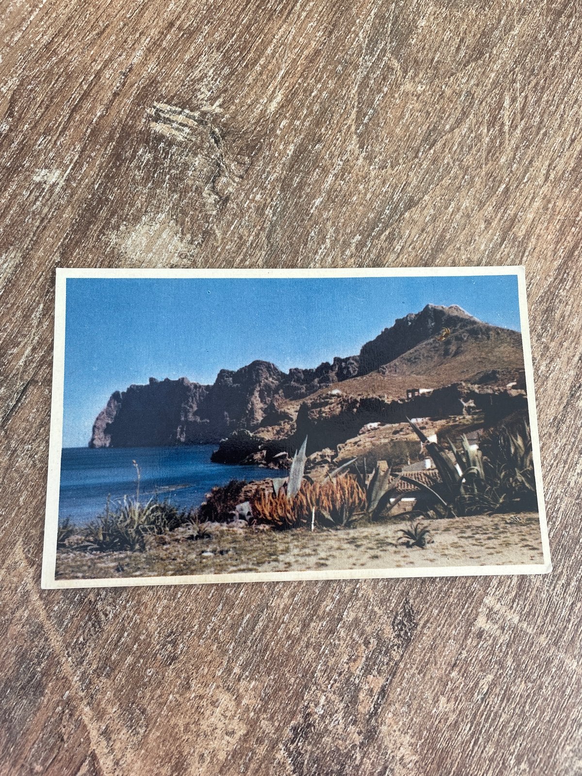 Vintage Ansichtkaart Mallorca Cala de San Vicente, Ophalen of Verzenden, 1960 tot 1980, Ongelopen, Spanje
