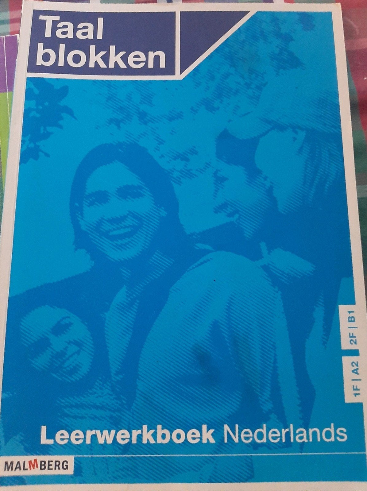 Taalblokken Leerwerkboek Nederlands Malmberg, Boeken, Ophalen, Malmberg, Zo goed als nieuw, MBO