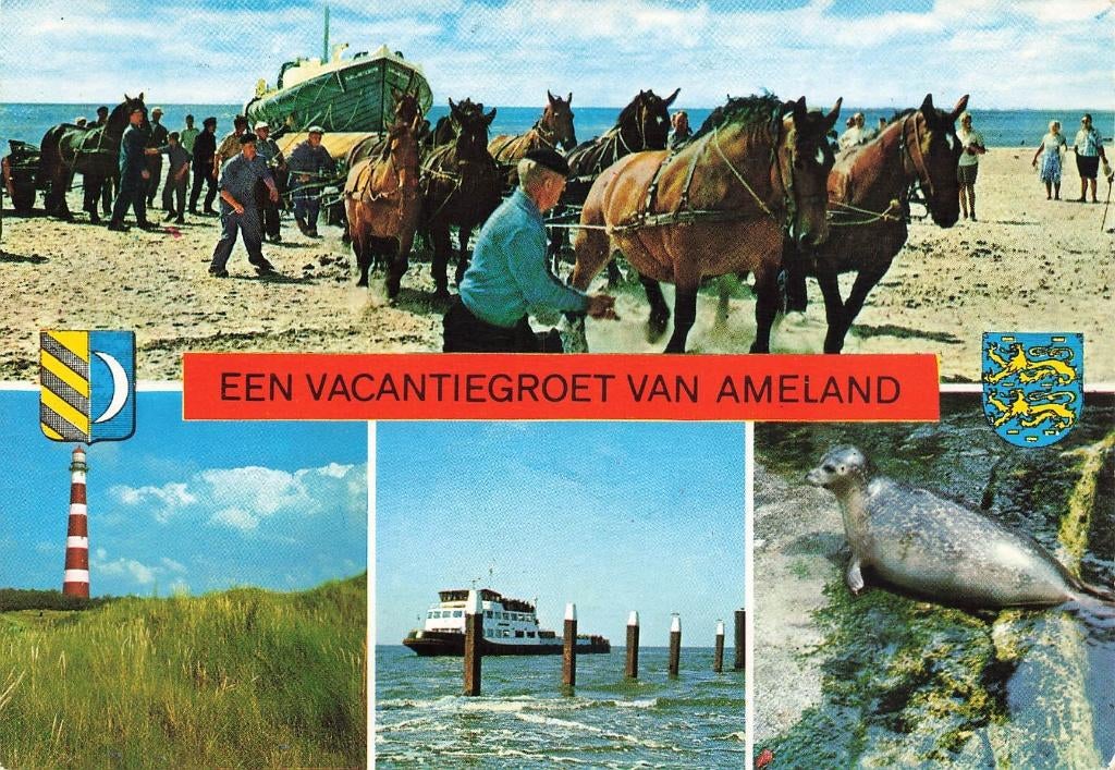 Een vacantiegroet van Ameland, Verzamelen, Ophalen of Verzenden, 1980 tot heden, Gelopen, Waddeneilanden