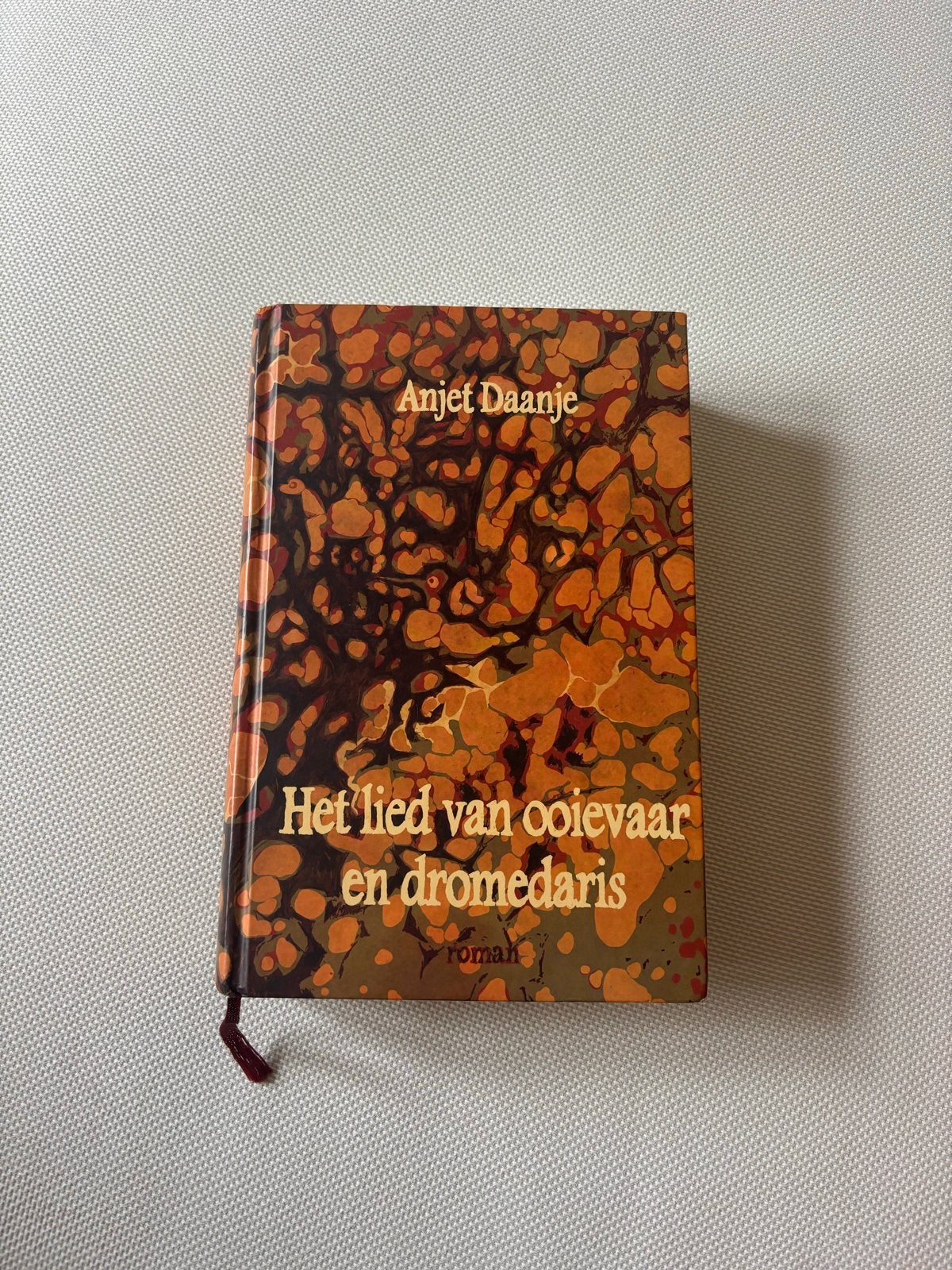 Het lied van ooievaar en dromedaris - Anjet Daanje, Boeken, Ophalen of Verzenden, Zo goed als nieuw, Nederland