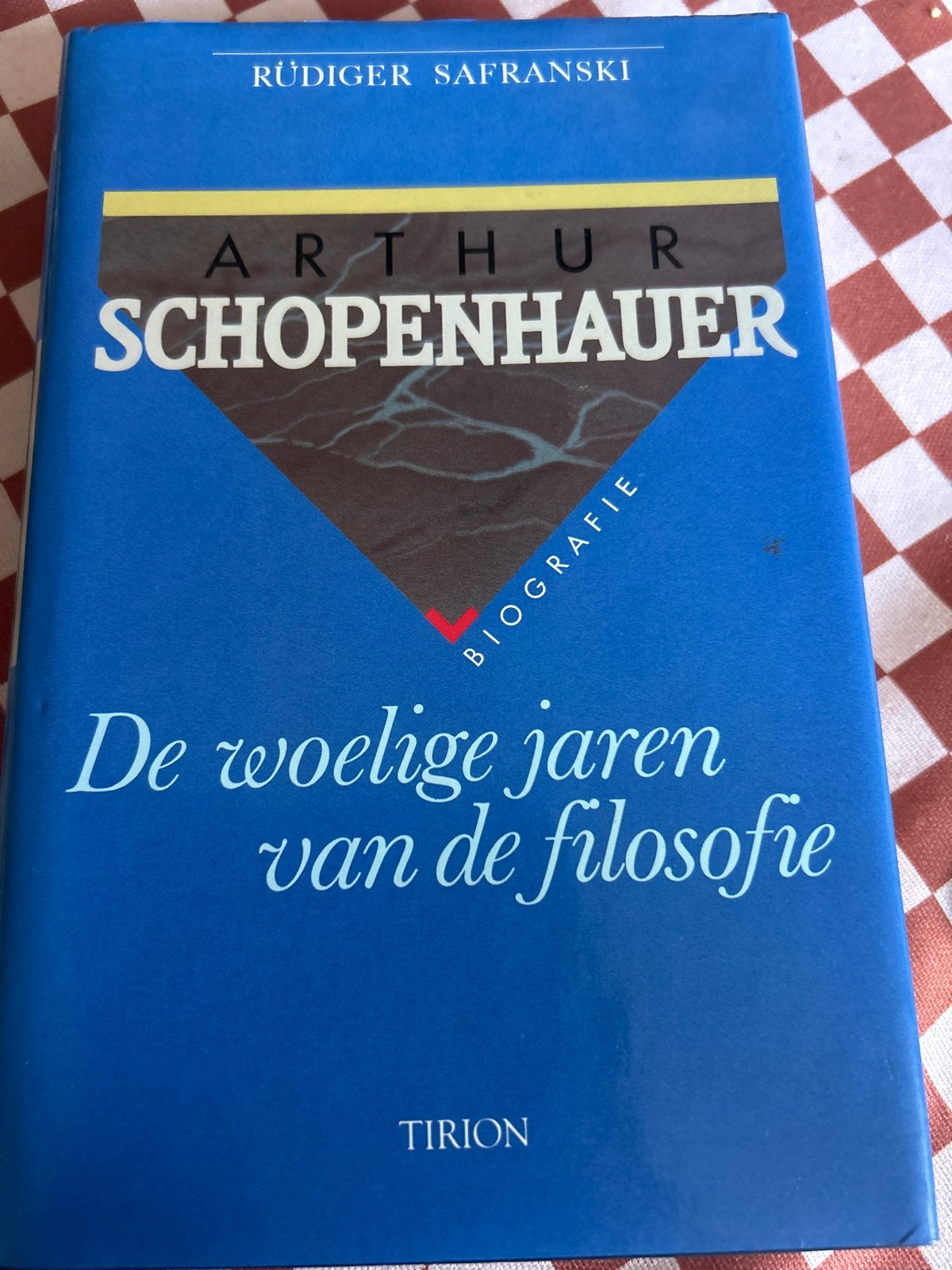 Arthur Schopenhauer - De woelige jaren van de filosofie, Boeken, Ophalen of Verzenden, Zo goed als nieuw, Wijsbegeerte of Ethiek