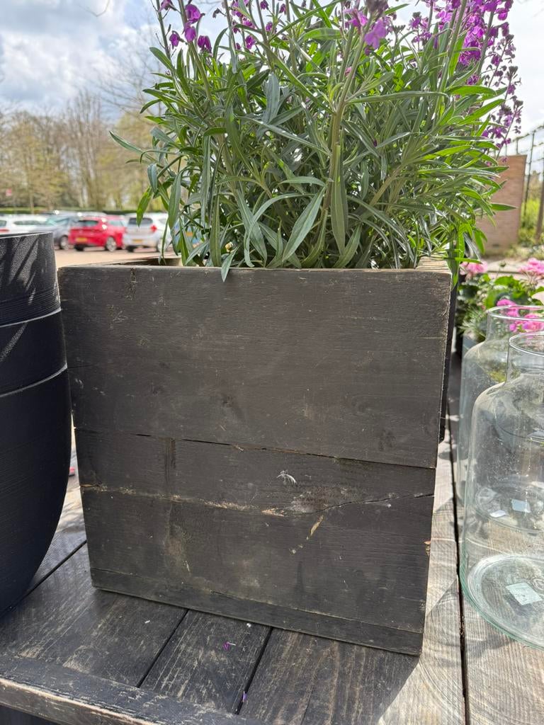 Steigerhouten plantenbakken 40x40, Tuin en Terras, Ophalen, Vierkant, Zo goed als nieuw, Hout