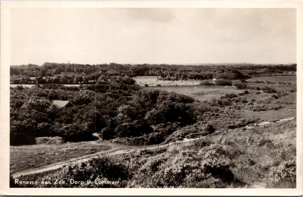 Renesse aan Zee - Dorp in Lommer