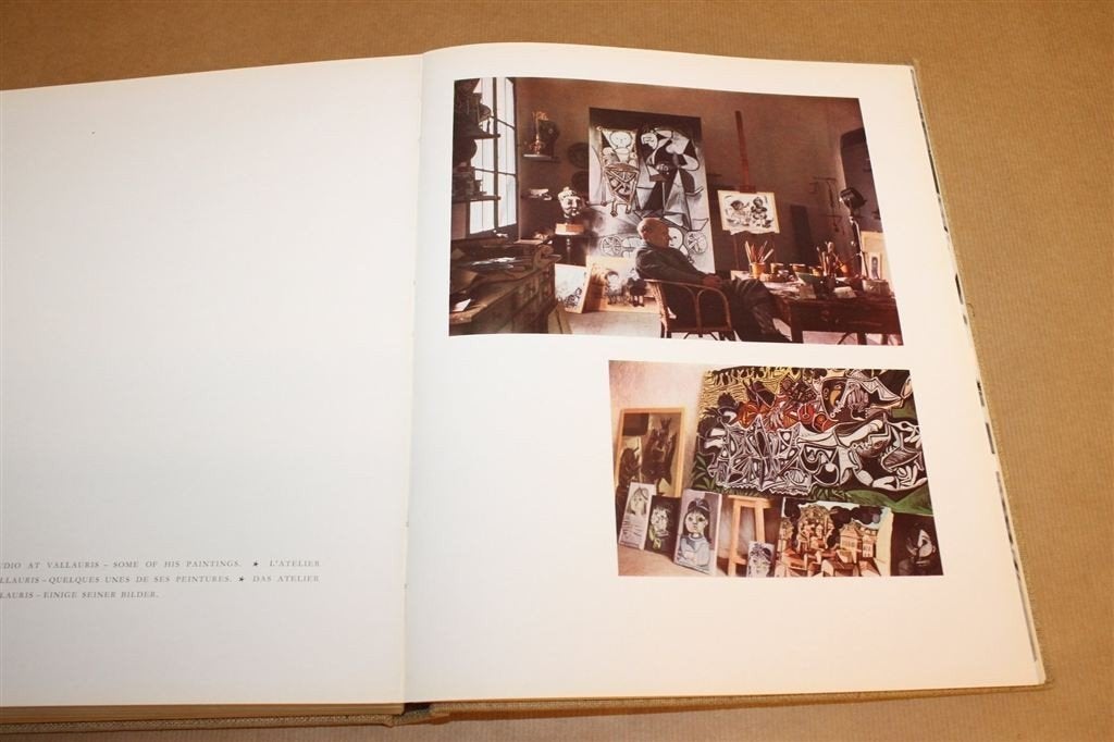 8 European Artists — Picasso, Matisse, Chagall e.a. 1954, Boeken, Ophalen of Verzenden, Gelezen