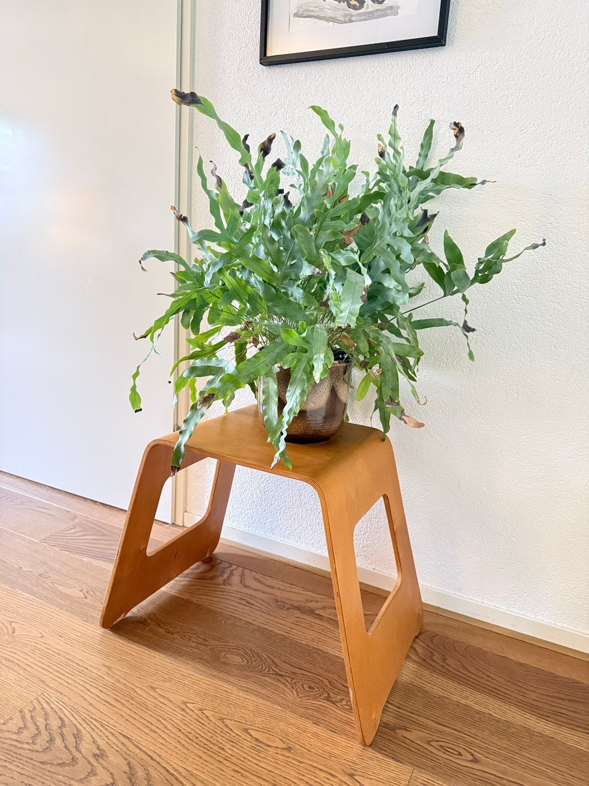 Vintage IKEA Benjamin krukje van gebogen multiplex, Ophalen, Gebruikt, Hout