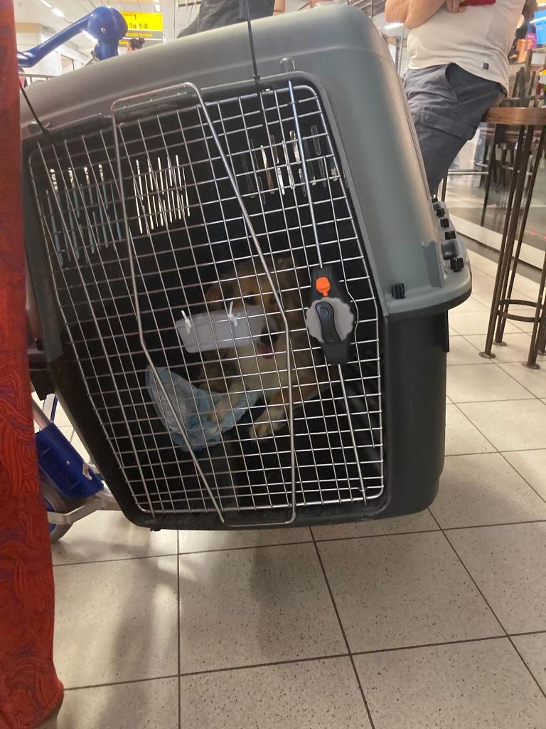 Transport box/ skybox, Ophalen, Zo goed als nieuw