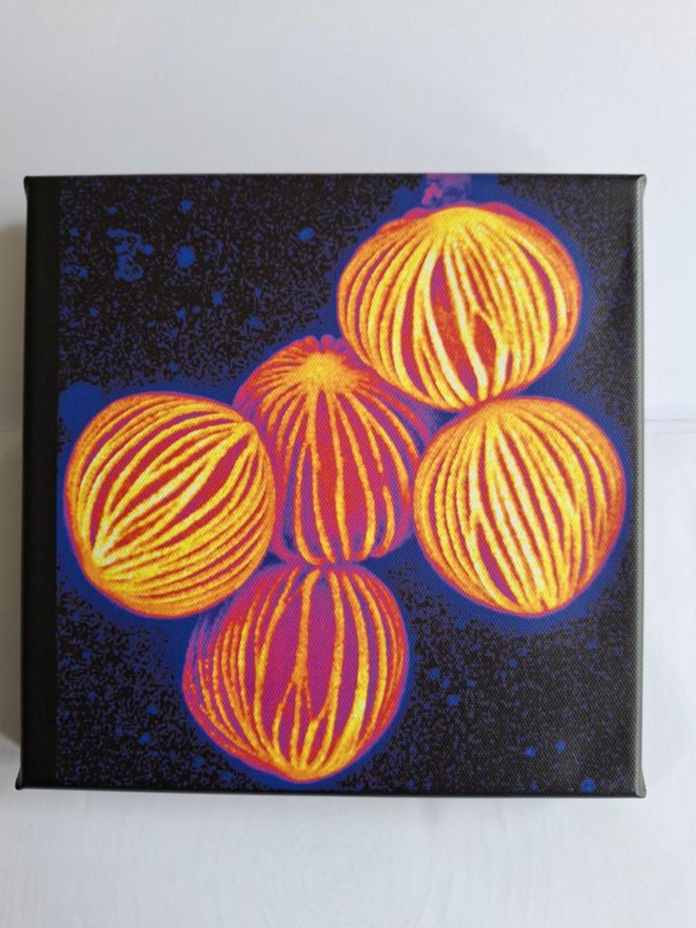 Microscopische opname stuifmeel Lepelplant; canvas 20x20 cm, Ophalen of Verzenden