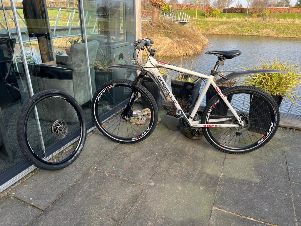 Gazelle XTR Mountainbike - Wit met schijfremmen, Ophalen, Gebruikt, Hardtail, 49 tot 53 cm
