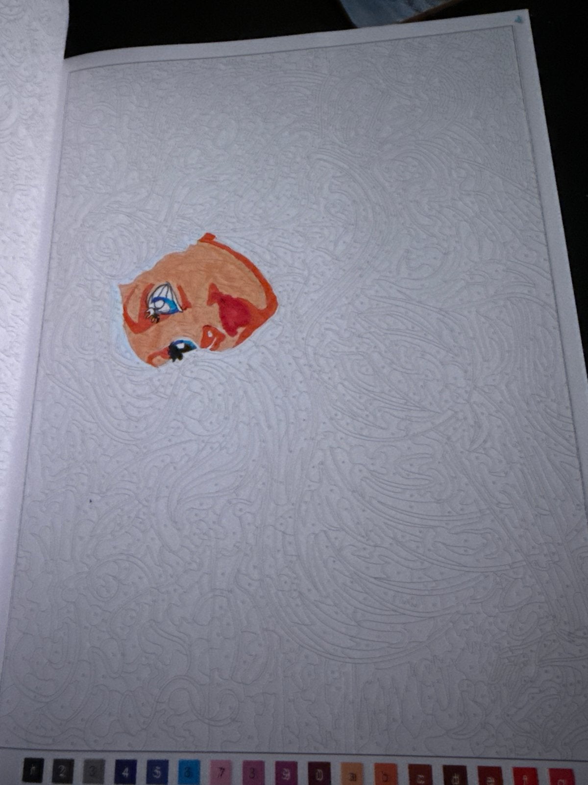 Disney Princesses Kleurboek -, Ophalen of Verzenden, Gebruikt, Boek of Gids