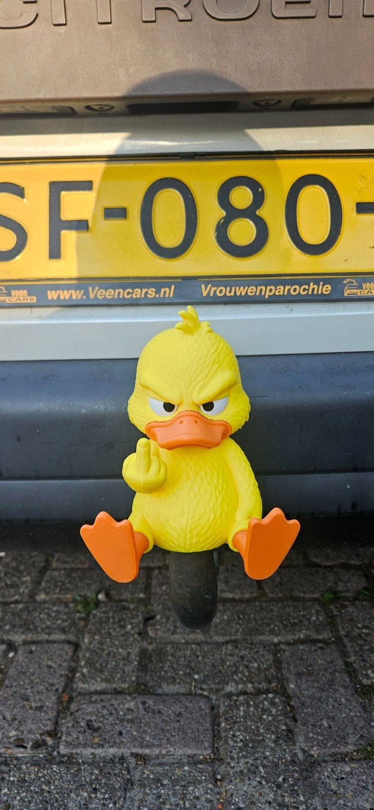 Grappige eend voor op de trekhaak!, Ophalen of Verzenden
