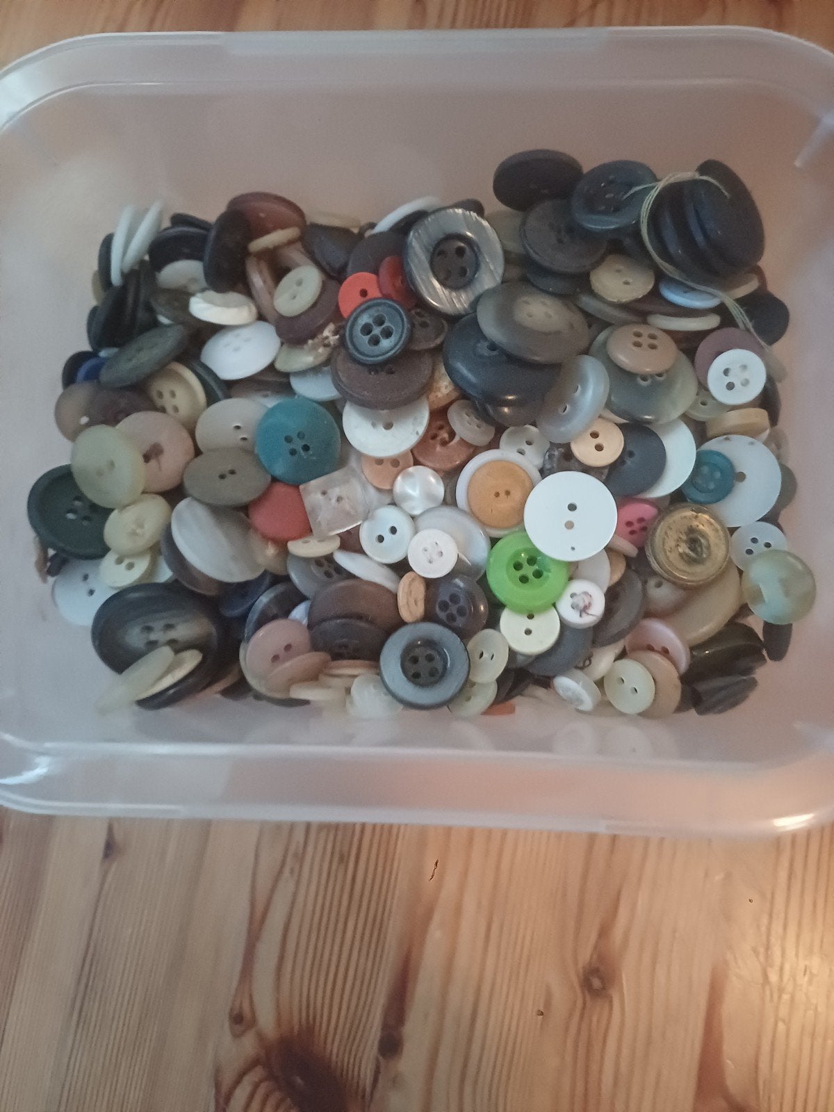 Grote verzameling knopen in diverse kleuren en maten, Hobby en Vrije tijd, Ophalen of Verzenden, Gebruikt, Knoop of Knopen