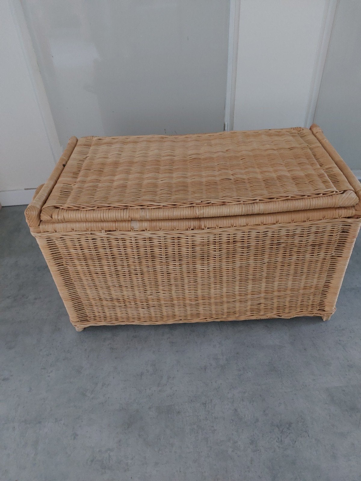 Rotan opbergkist / speelgoedkist, Ophalen, Minder dan 50 cm, 50 tot 100 cm, Zo goed als nieuw