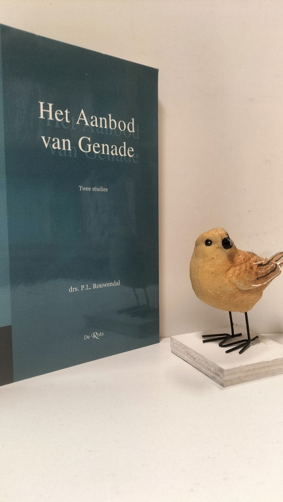 Rouwendal, Drs. P.L.; Het aanbod van genade, Ophalen of Verzenden, Gelezen, Christendom | Protestants