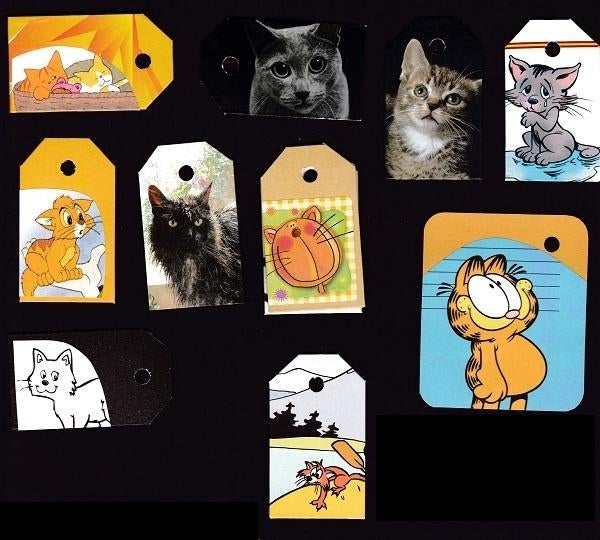 0095) poezen labeltjes, Ophalen of Verzenden, Zo goed als nieuw, Hond of Kat, Overige typen