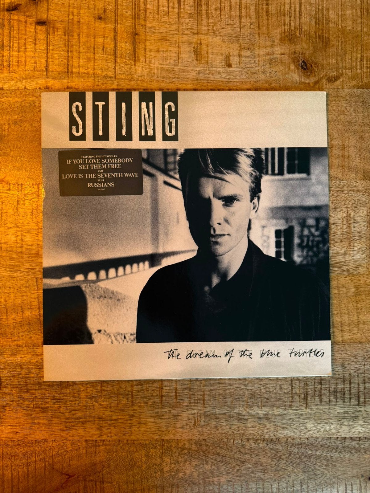 Sting the dream of the blue turtles LP, Ophalen, Gebruikt, 12 inch