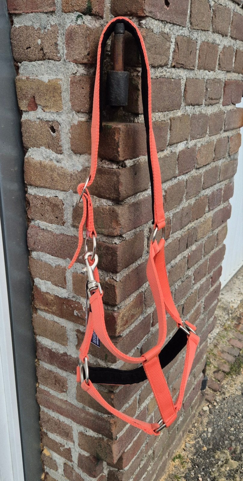te koop 4 stuks nieuwe halsters voor pony's, Ophalen, Meerkleurig, Nieuw, Pony