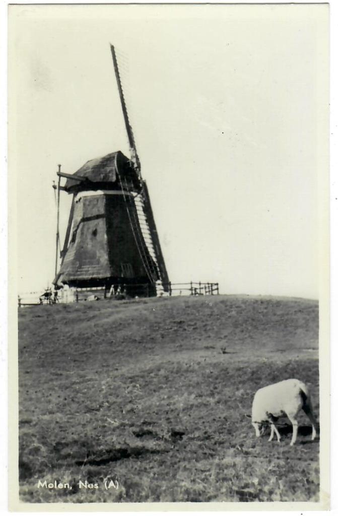 Ameland - Nes, Molen, Verzenden, 1940 tot 1960, Ongelopen, Waddeneilanden