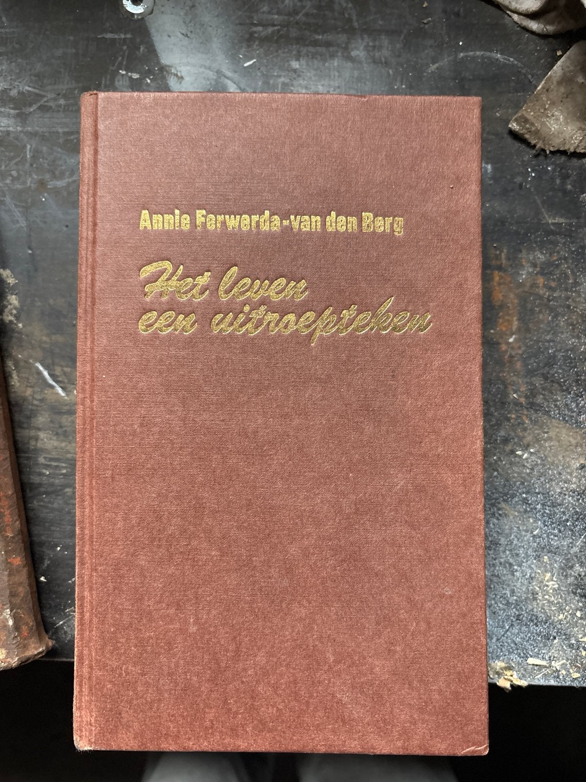 Het leven een uitroepteken - Annie Ferwerda-van den Berg, Boeken, Ophalen, Gelezen, Nederland