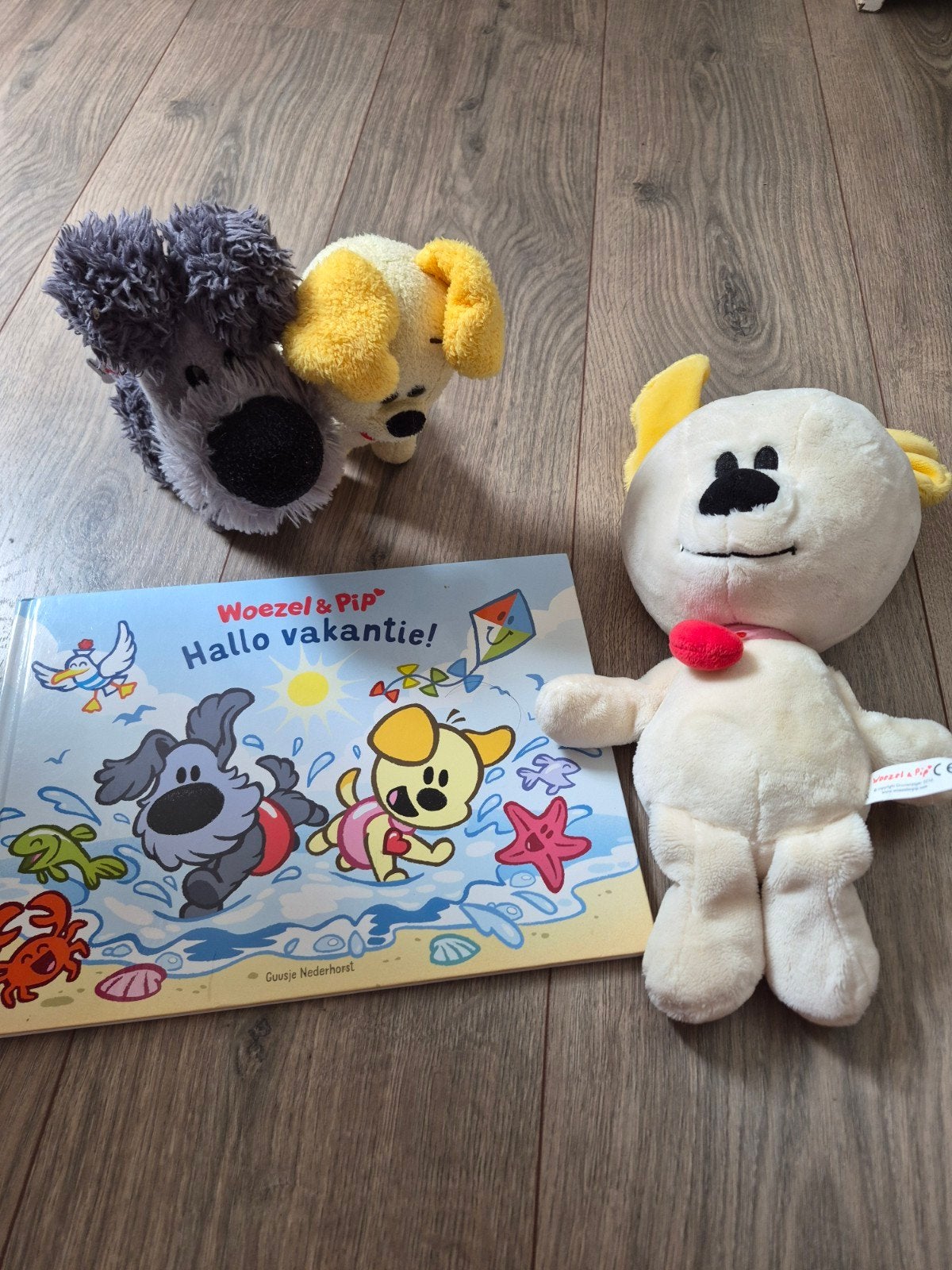 Woezel en pip boekje, Kinderen en Baby's, Speelgoed | Knuffels en Pluche, Ophalen, Zo goed als nieuw, Overige typen