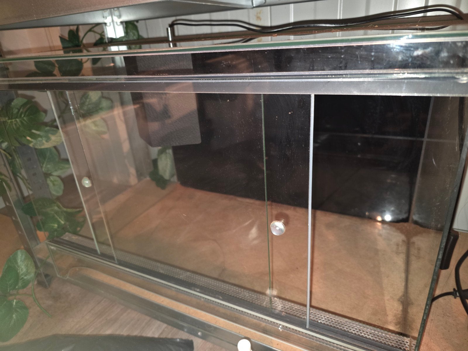 Terrarium, Dieren en Toebehoren, Ophalen