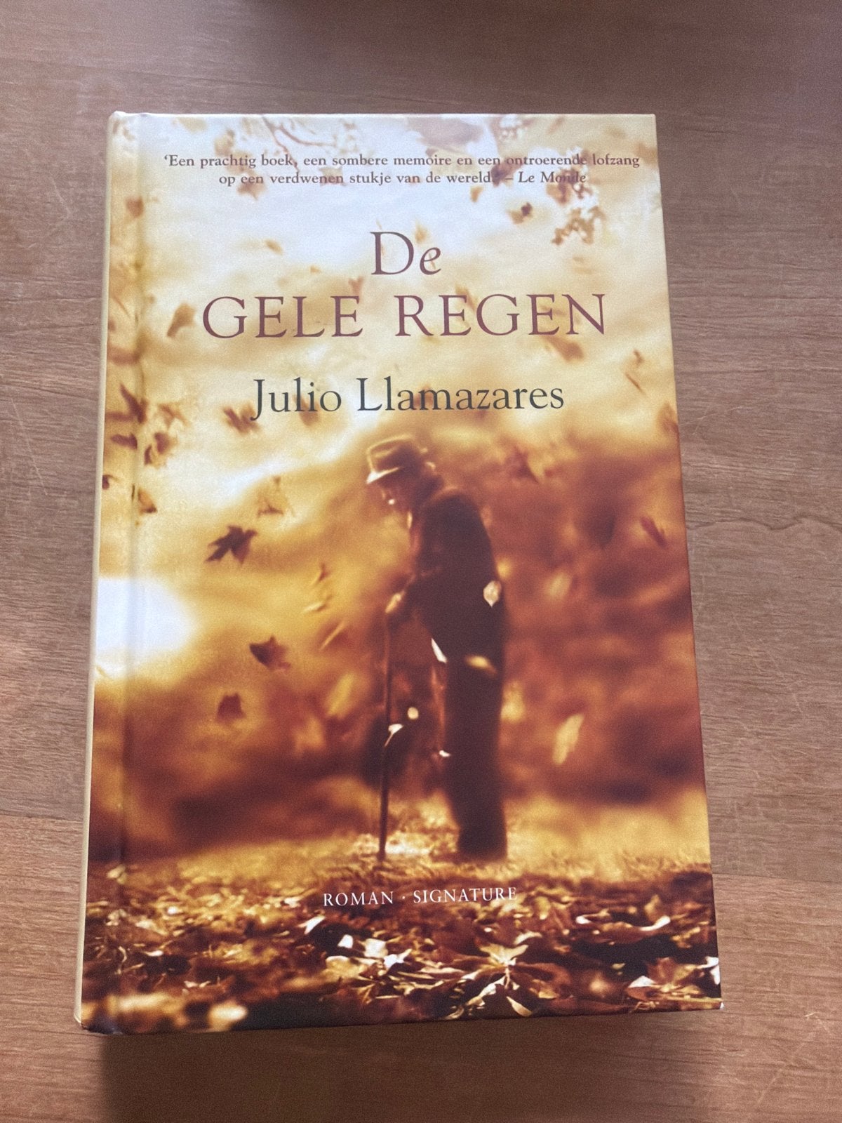 De Gele Regen - Julio Llamazares (Roman), Ophalen of Verzenden, Zo goed als nieuw