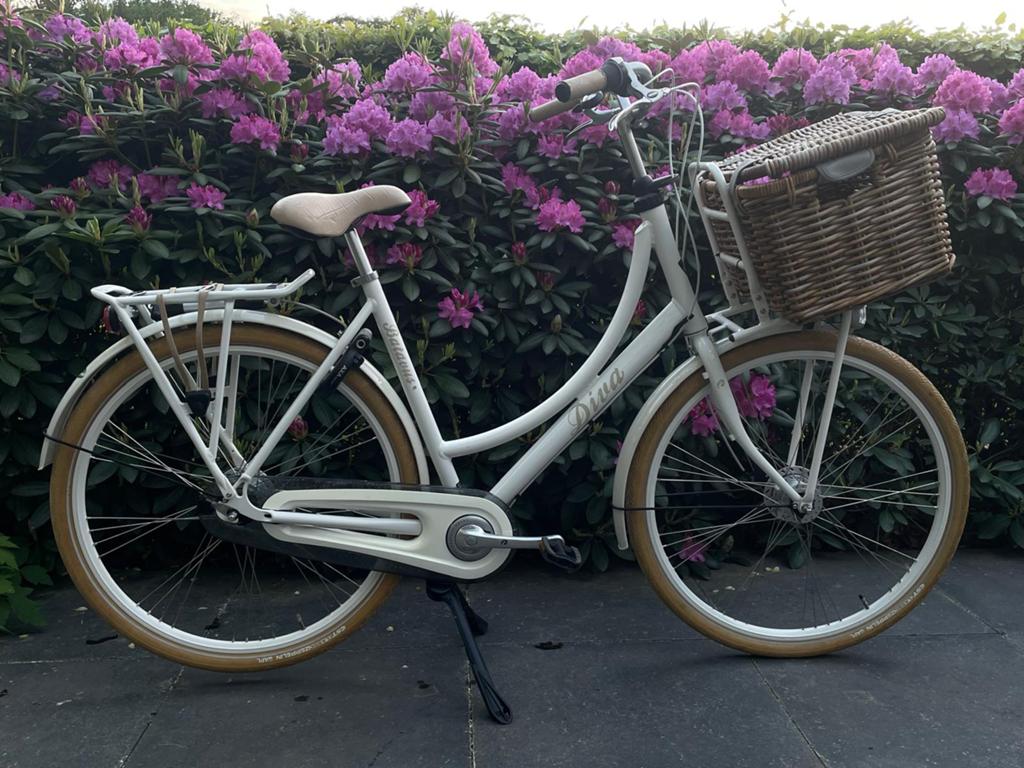 Batavus Diva damesfiets zgan, Fietsen en Brommers, Fietsen | Dames | Omafietsen, 56 cm of meer, Ophalen, Zo goed als nieuw, Versnellingen