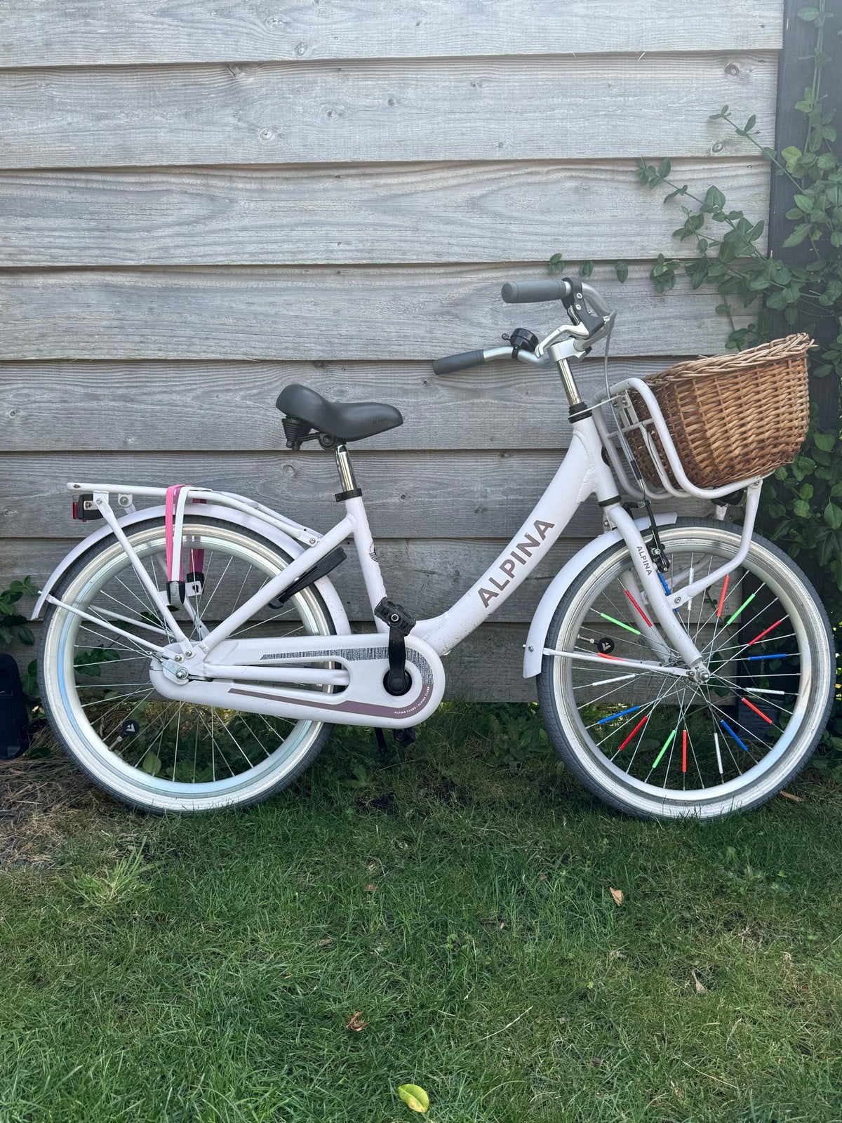 Alpina Clubb 22 inch meisjesfiets met mandje, Ophalen, Terugtraprem, 22 inch, Handrem