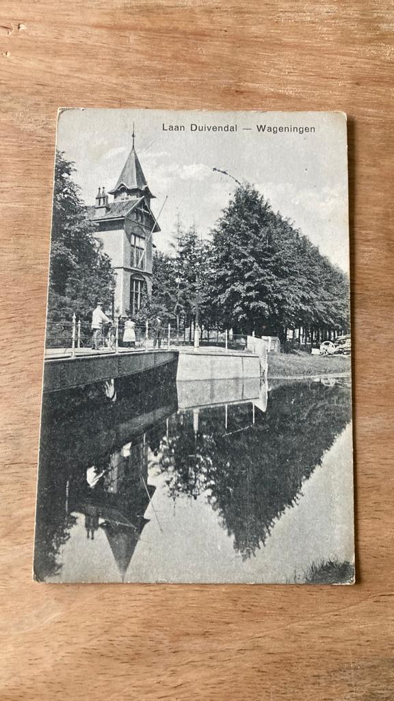 Oude ansichtkaart Wageningen 1916 Laan Duivendal, Verzamelen, Ophalen of Verzenden, Voor 1920, Gelopen, Gelderland