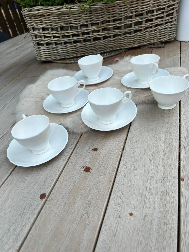 Royal Tuscan 5x porseleinen kop en schotels, Ophalen