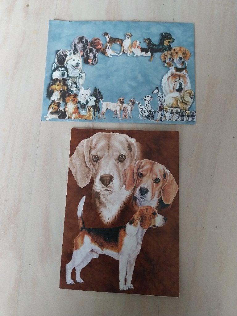 Mooie ansicht kaart met envelop hondjes NIEUW, Verzamelen, Ophalen of Verzenden, 1980 tot heden, Ongelopen, Hond of Kat
