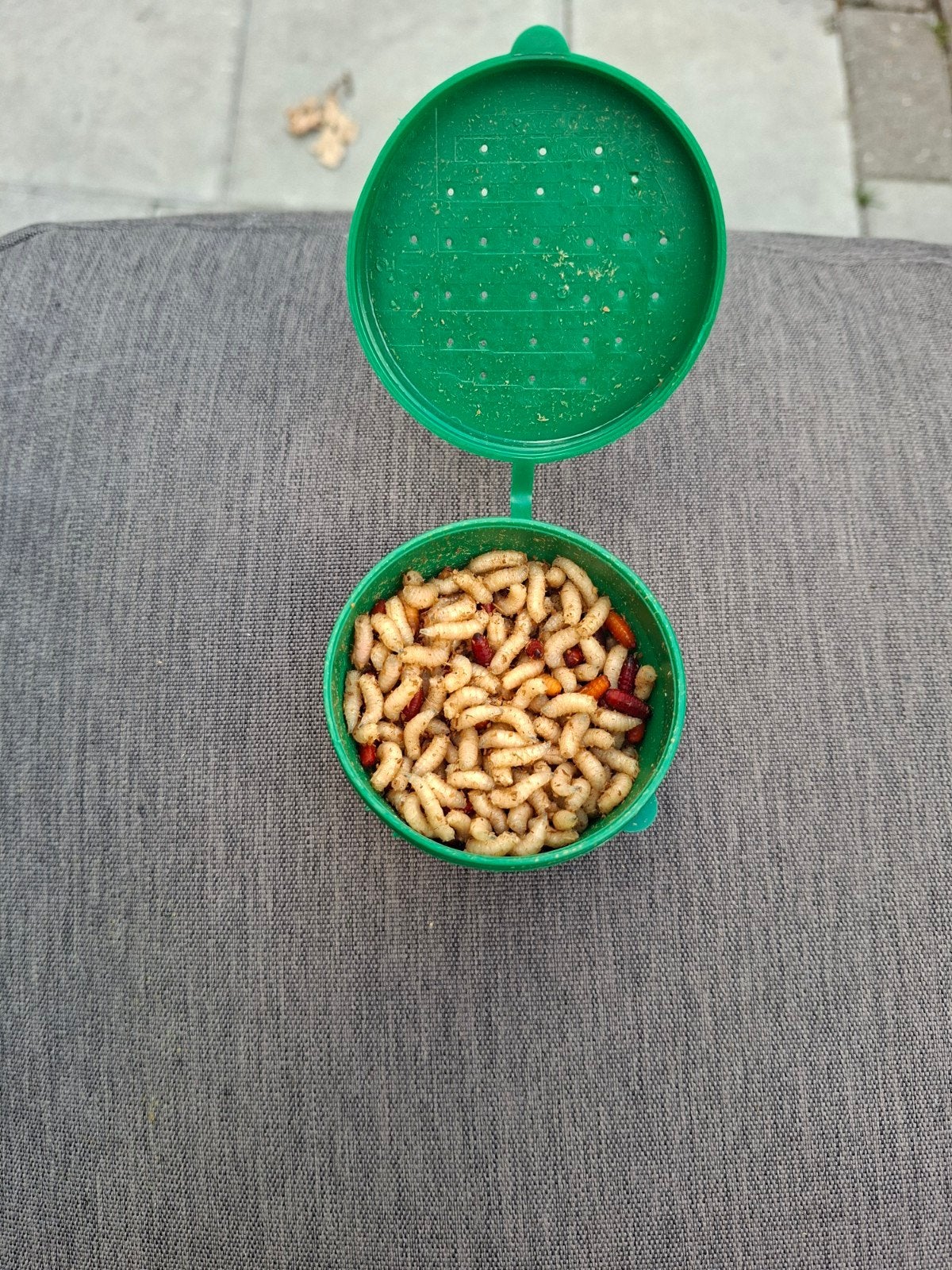 Visdoosje met maden, Ophalen, Gebruikt, Overige typen