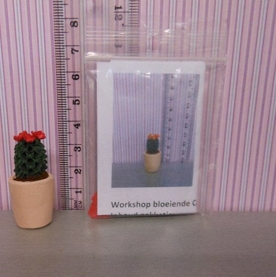 poppenhuis workshop bloeiende cactus, Ophalen of Verzenden, Nieuw, Poppenhuis