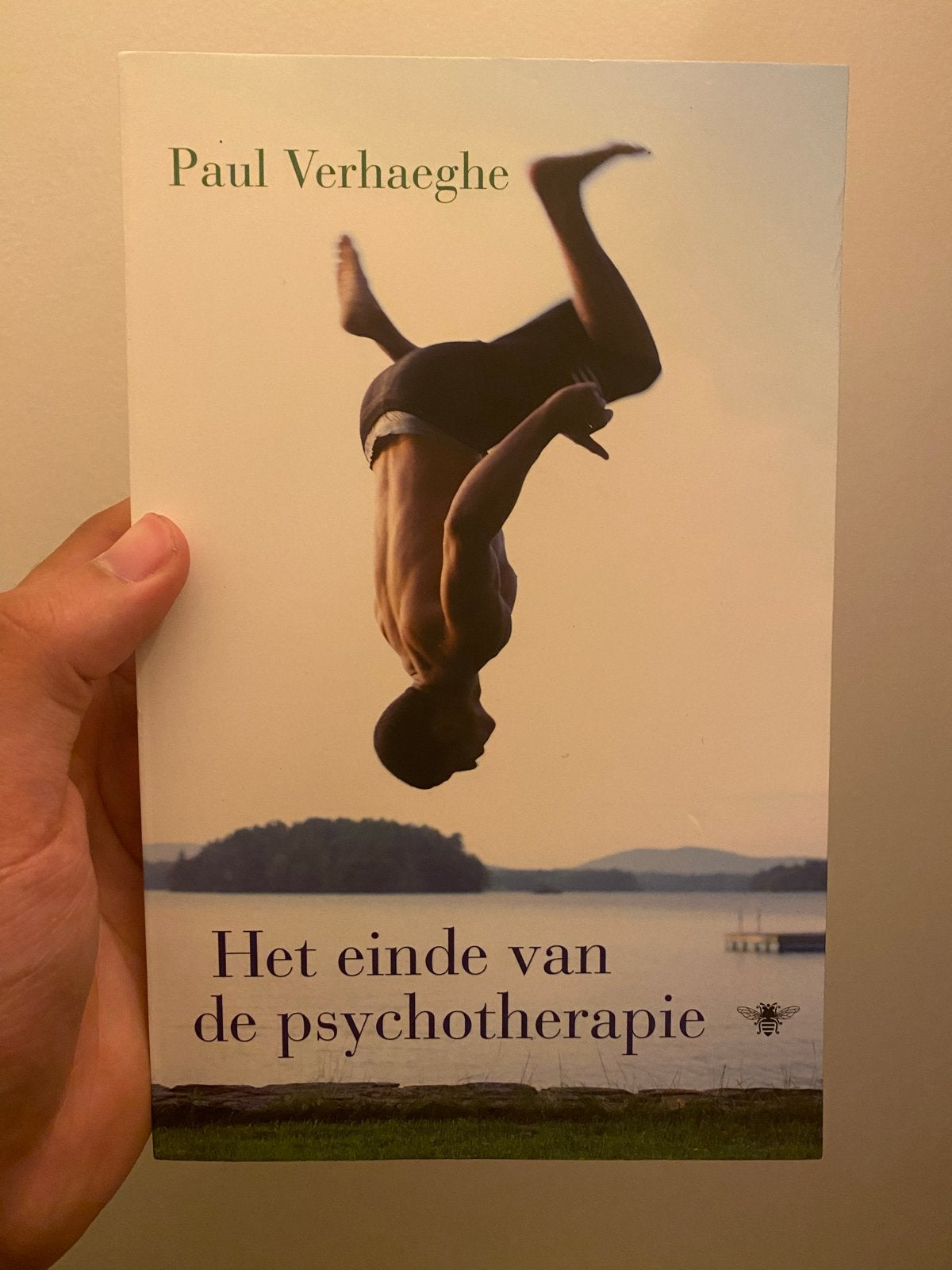 Het einde van de psychotherapie - Paul Verhaeghe, Ophalen of Verzenden, Zo goed als nieuw, Klinische psychologie