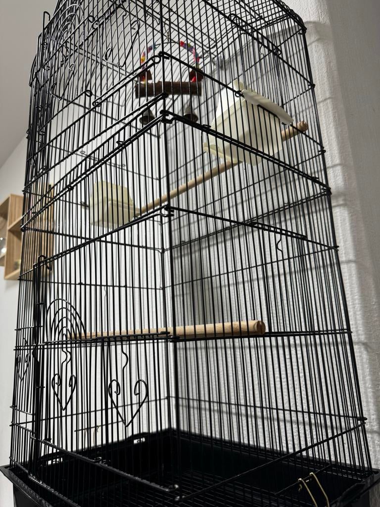 Te koop aangeboden vogels kooi, Ophalen of Verzenden, Zo goed als nieuw, Metaal, Vogelkooi