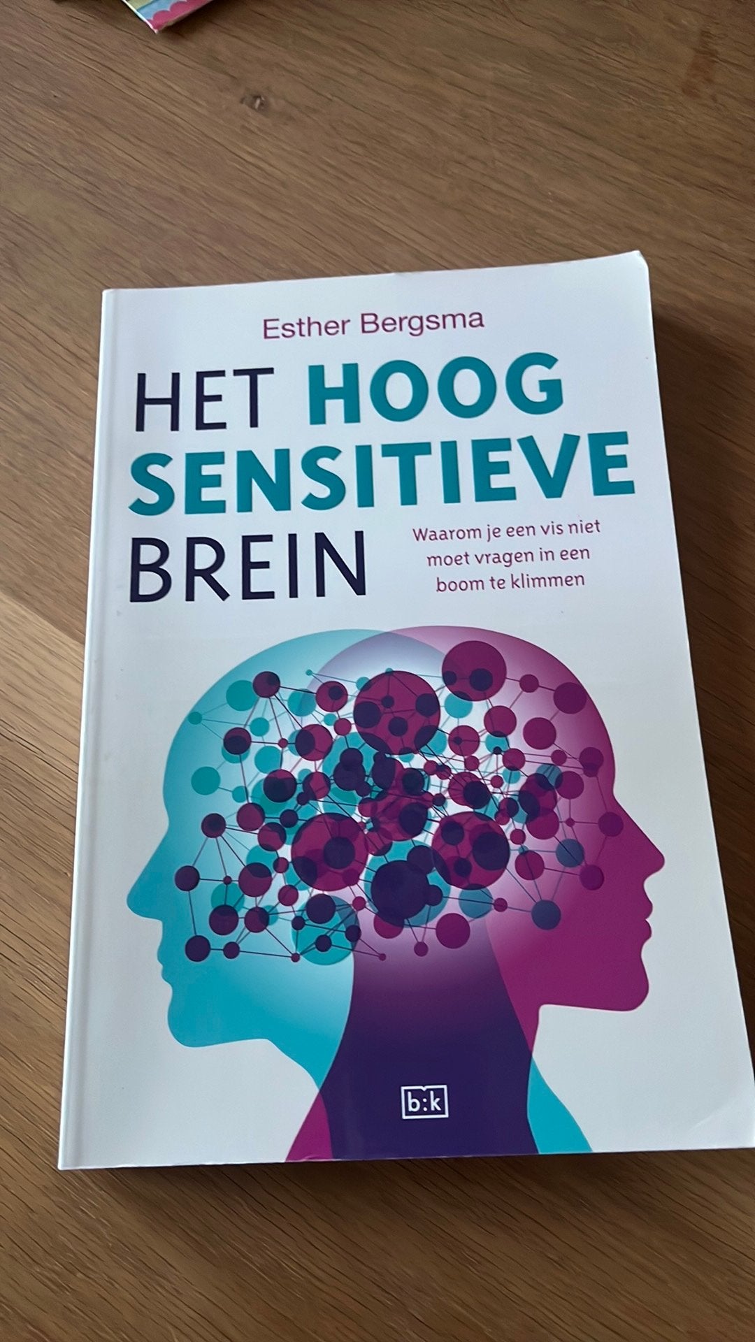 Het hoog sensitieve brein boek, Boeken, Ophalen, Zo goed als nieuw