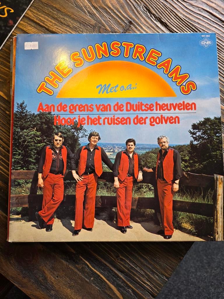 Partij mooie LP's  vinyl, Cd's en Dvd's, Vinyl | Verzamelalbums, Ophalen of Verzenden, Gebruikt, Overige formaten, Nederlandstalig