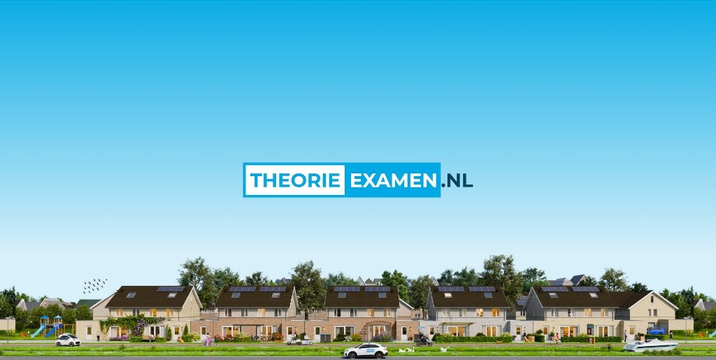 Rijbewijs B theorieboek - 8 talen - inclusief oefenexamens, TheorieExamen.nl, Niet van toepassing, Nieuw, Ophalen of Verzenden