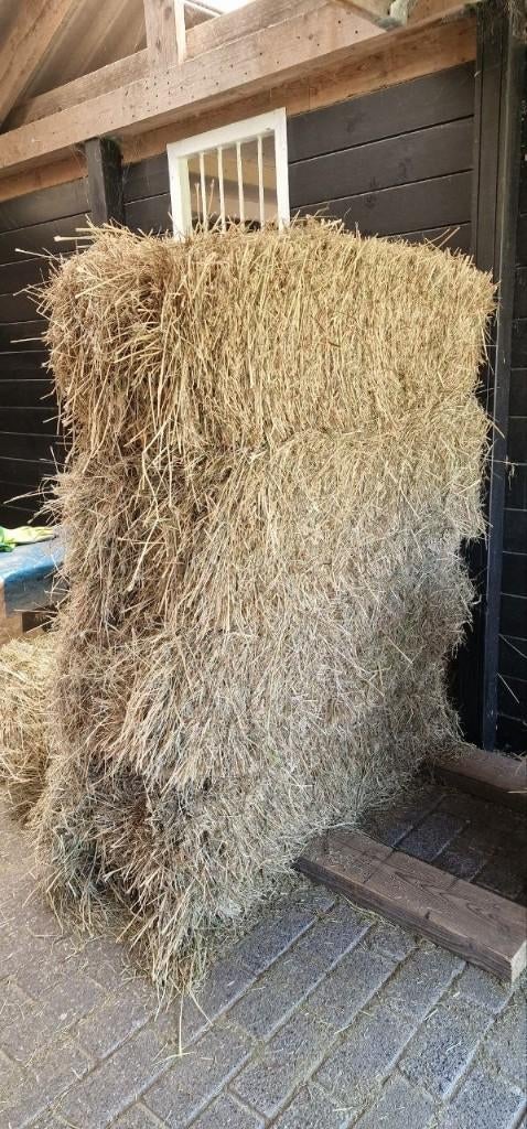 4 baaltjes graszaadhooi, Dieren en Toebehoren, Dierenvoeding, Ophalen, Vee