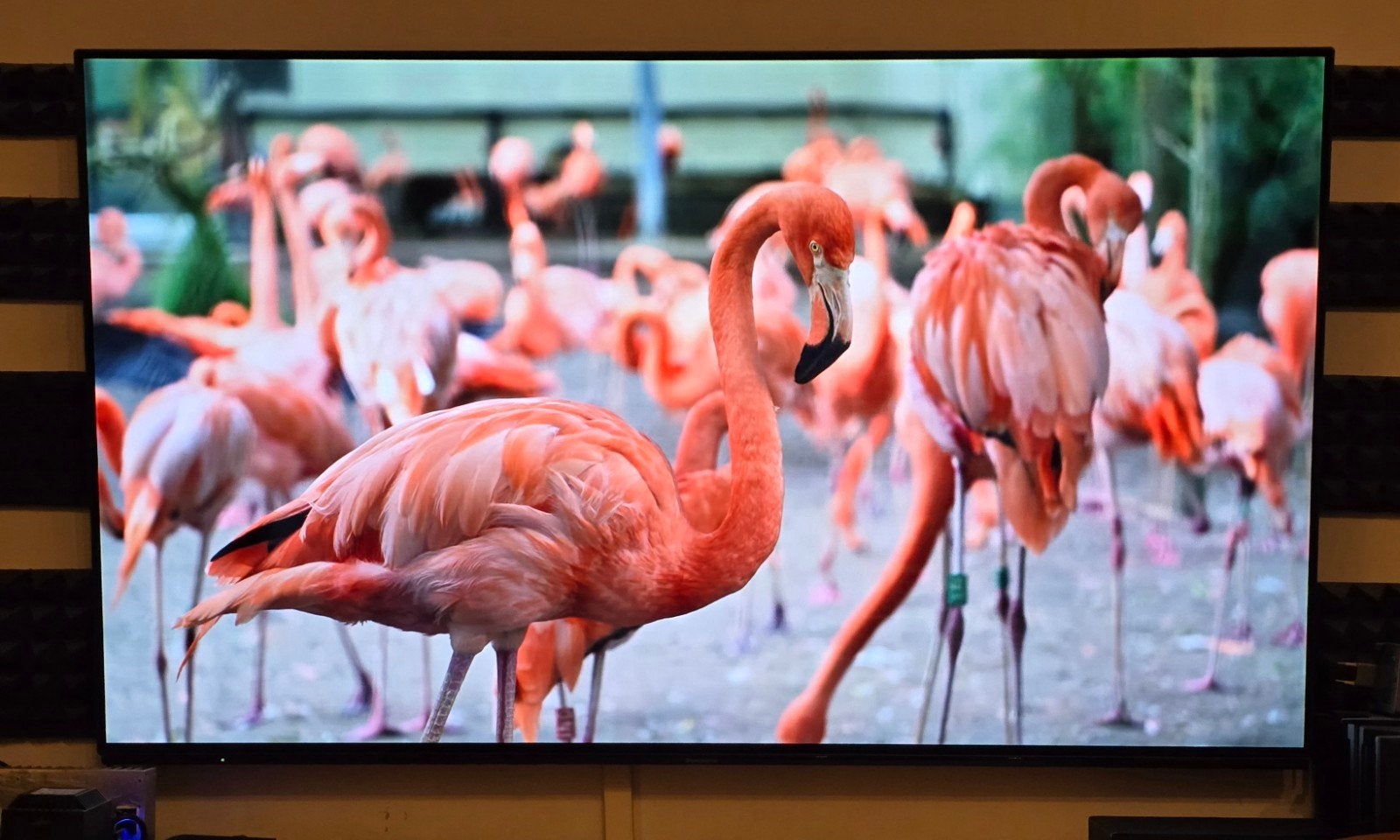 Panasonic 55" smart oled tv 4K., Audio, Tv en Foto, Televisies, Ophalen, Panasonic, OLED, Zo goed als nieuw