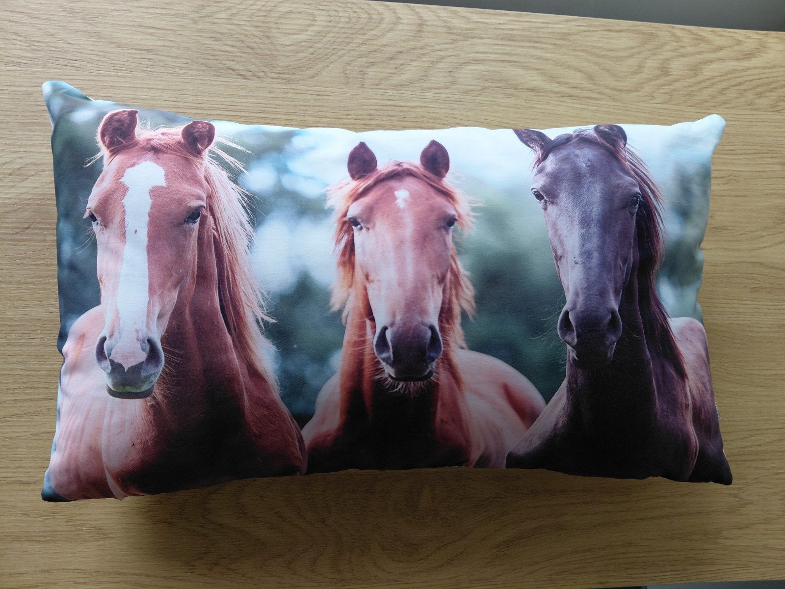 als nieuw kussen met paarden 50x25 cm 3 euro, Ophalen of Verzenden, Zo goed als nieuw, Wit, Vierkant