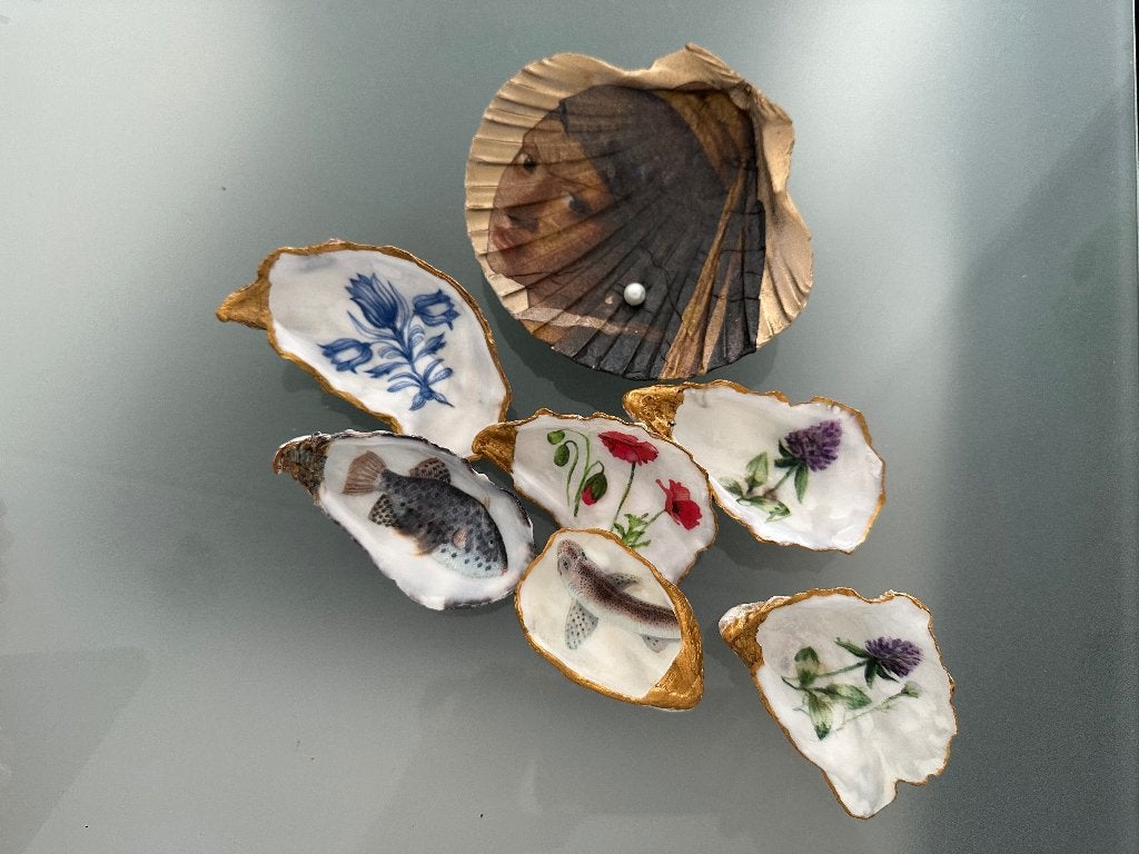 Bewerkte oesterschelpen, Meerkleurig, Overige stijlen, Nieuw, Ophalen of Verzenden