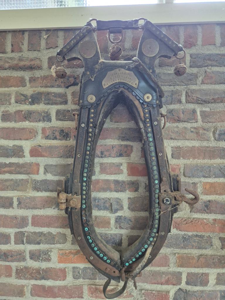 Paarden haam, Dieren en Toebehoren, Paarden en Pony's | Hoofdstellen en Tuigage, Ophalen, Overige soorten