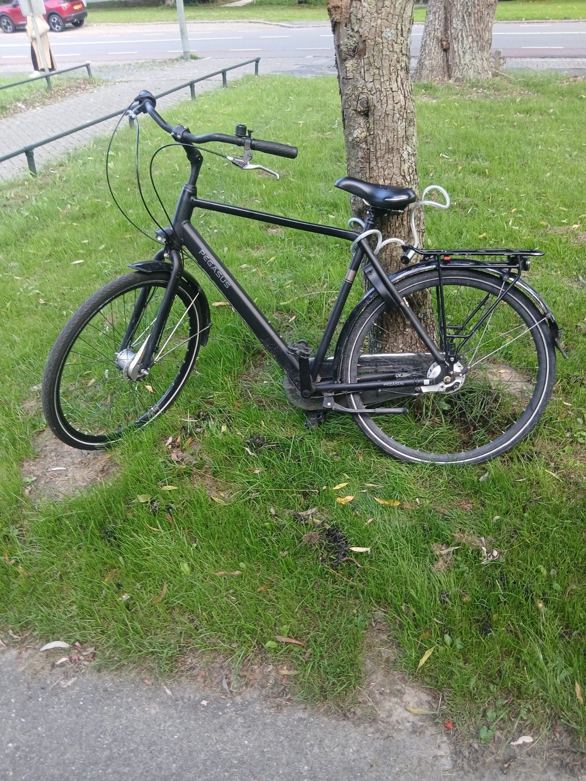 Pegasus fiets - Goede staat, alles werkt naar behoren, Fietsen en Brommers, Ophalen, Gebruikt, Overige merken, Versnellingen