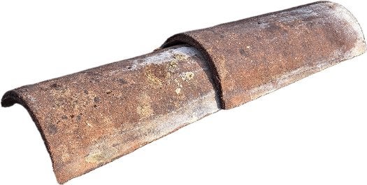 Sneldek Vorsten – 45 cm – €3,50 per stuk