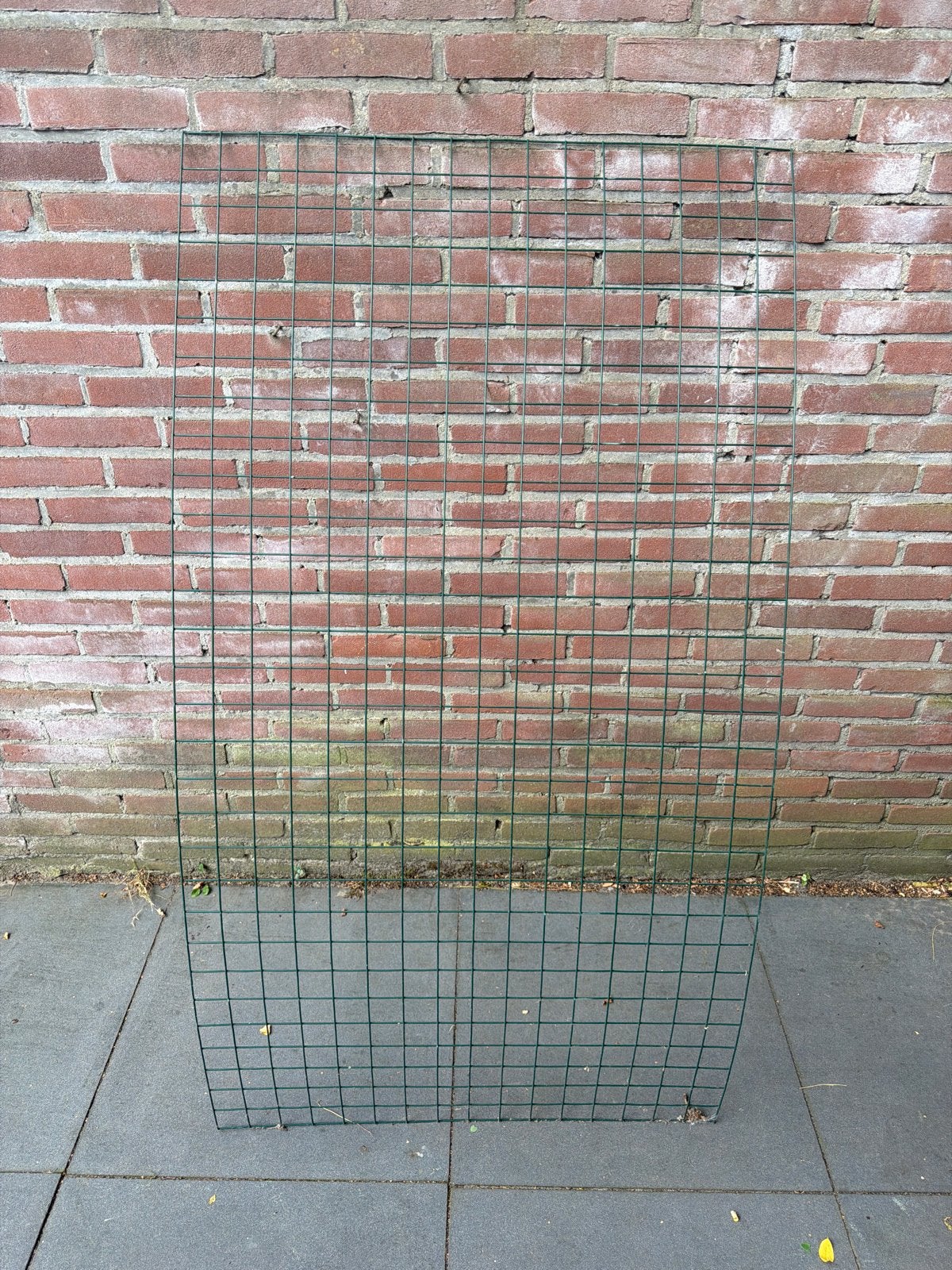 Groen gaashekwerk paneel, Ophalen, Gebruikt, IJzer, Gaashekwerk