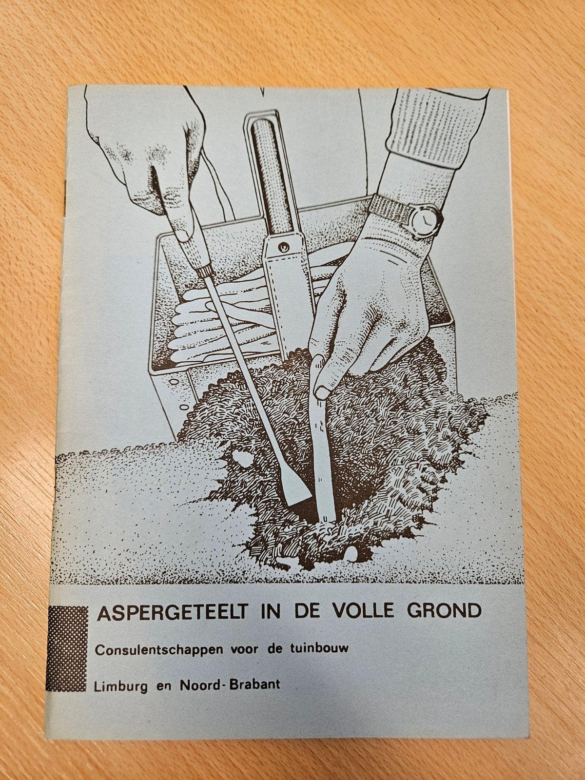 aspergesteelt in de volle grond, Ophalen of Verzenden, Gelezen
