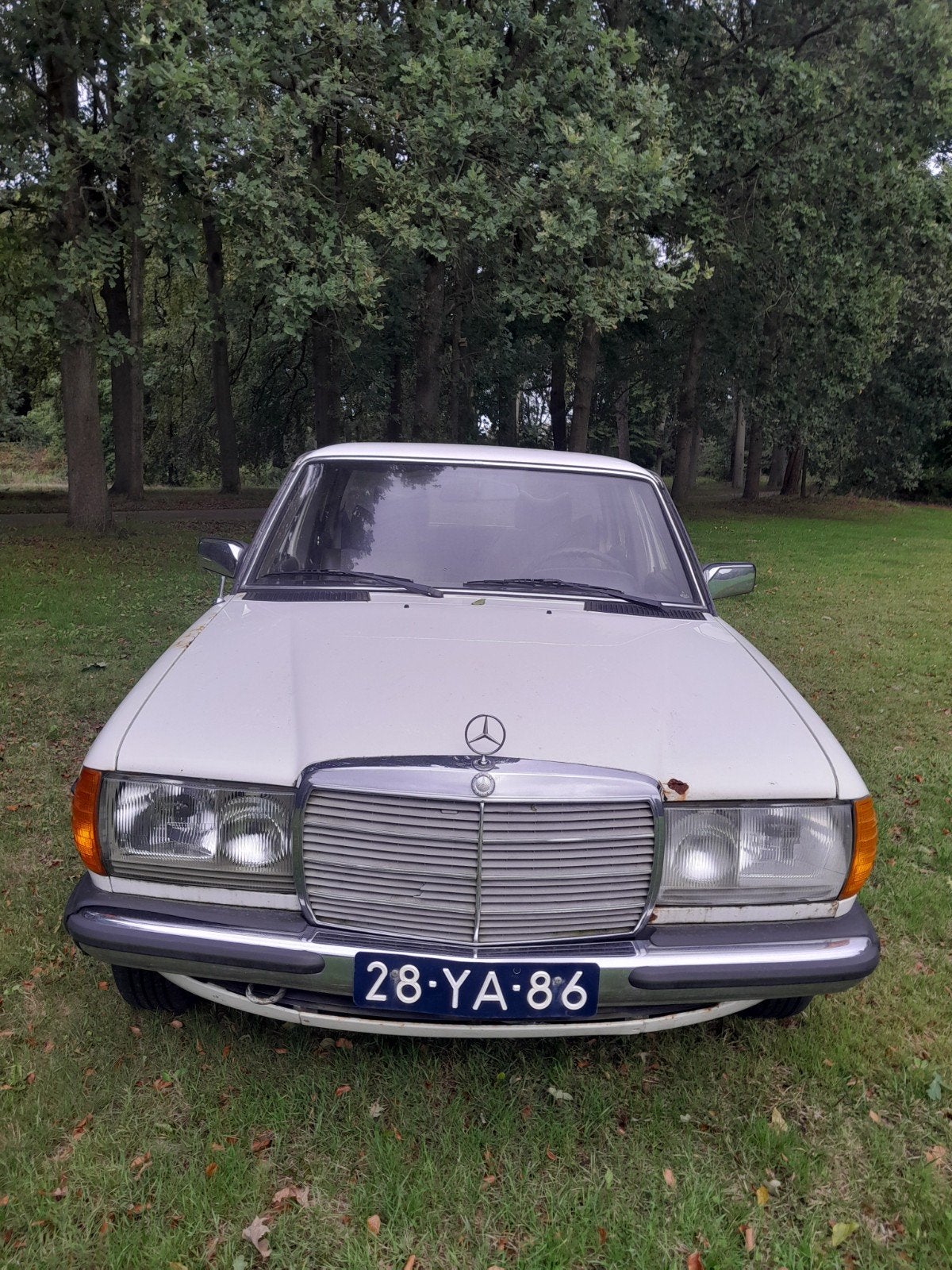 Mercedes-Benz 300D 1977 Wit Diesel automaat zeer netjes, Auto's, Wit, 1200 kg, Diesel, Particulier