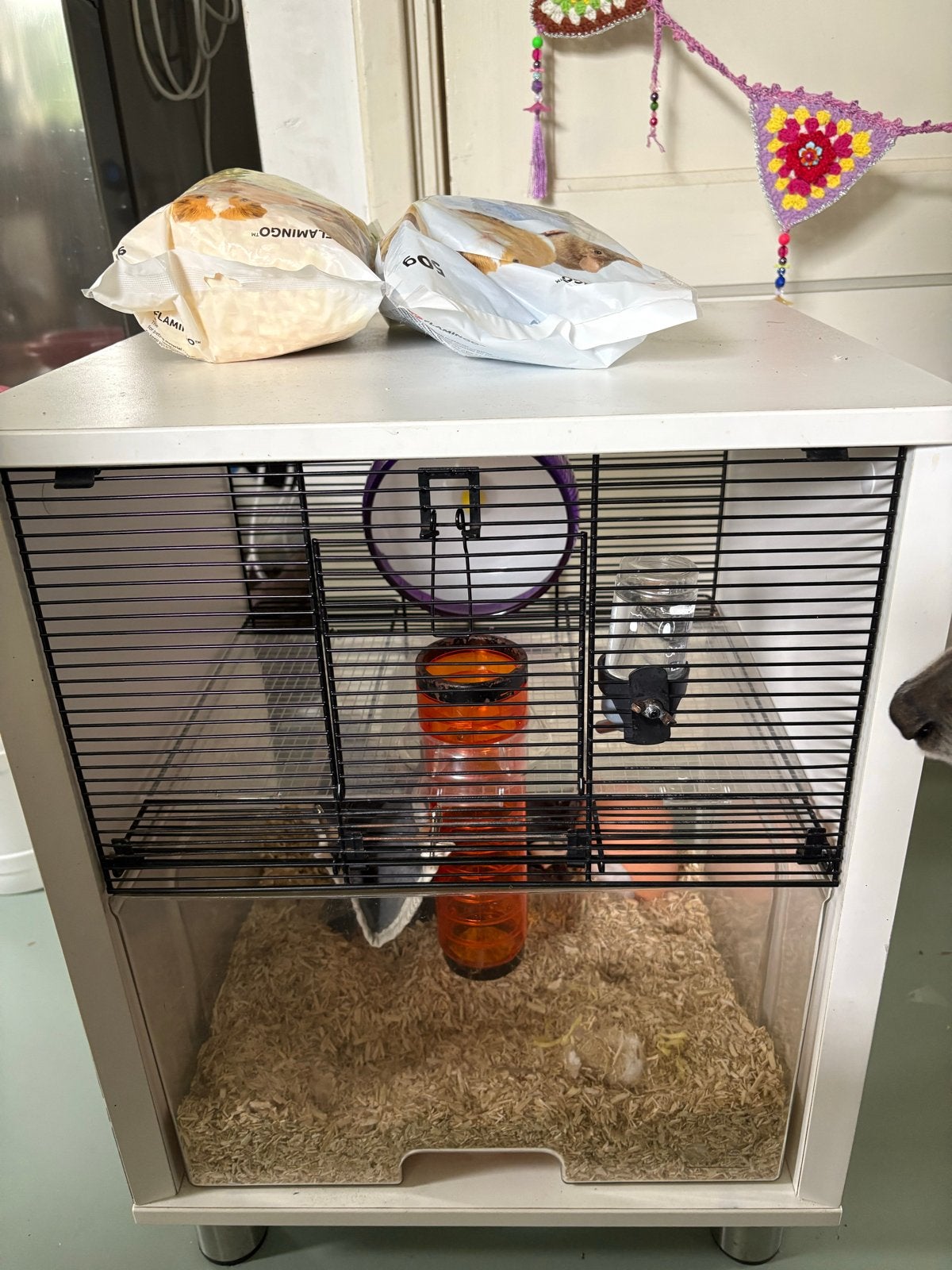 Omlet hamsterkooi, Dieren en Toebehoren, Knaagdieren en Konijnen | Hokken en Kooien, Kooi, Minder dan 75 cm, Zo goed als nieuw