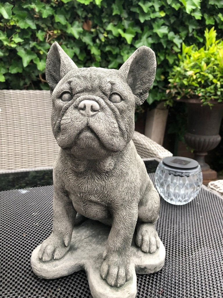 beton stenen hond beeld bull franse bulldog, Ophalen