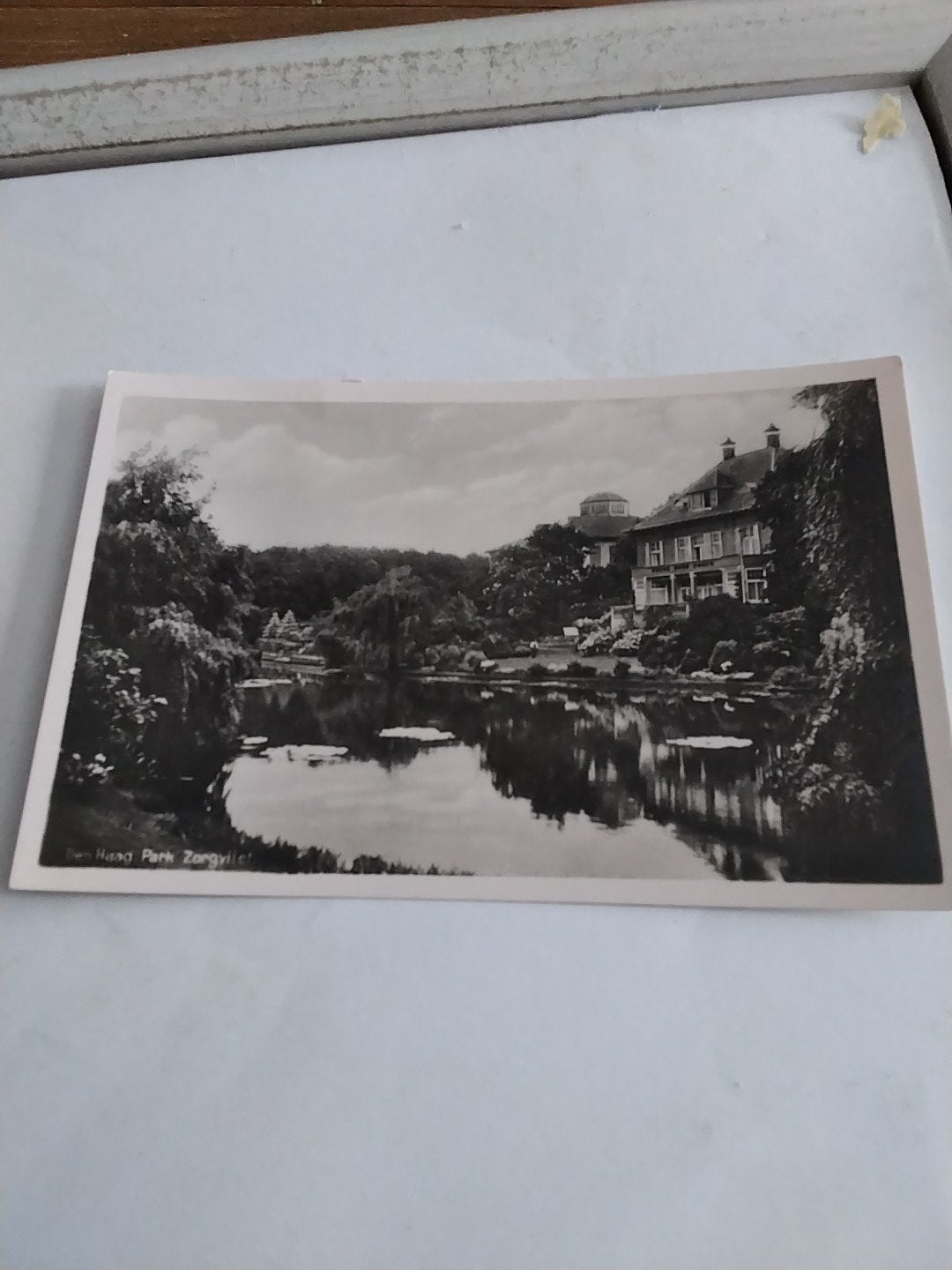 DEN HAAG  PARK ZORGVLIET, Ophalen of Verzenden, Voor 1920, Zuid-Holland